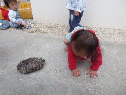 4��17���@�����@���쁕�ˊO�V��_42