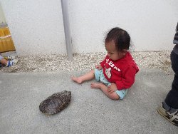 4��17���@�����@���쁕�ˊO�V��_43