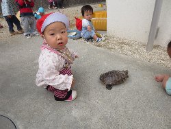 4��17���@�����@���쁕�ˊO�V��_44