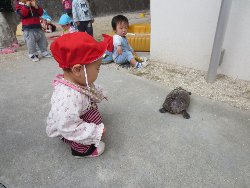 4��17���@�����@���쁕�ˊO�V��_45