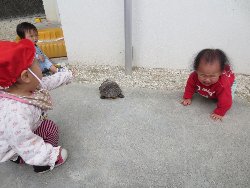 4��17���@�����@���쁕�ˊO�V��_46