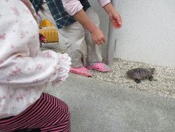 4��17���@�����@���쁕�ˊO�V��_47