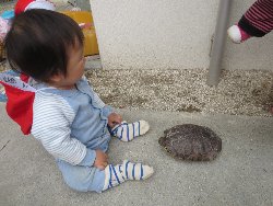 4��17���@�����@���쁕�ˊO�V��_48