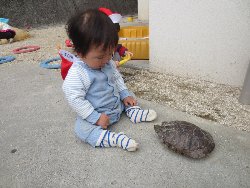 4��17���@�����@���쁕�ˊO�V��_49