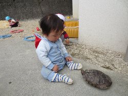 4��17���@�����@���쁕�ˊO�V��_50