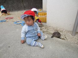 4��17���@�����@���쁕�ˊO�V��_51