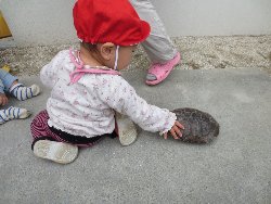 4��17���@�����@���쁕�ˊO�V��_52