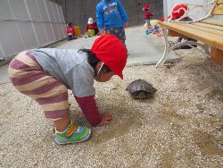 4��17���@�����@���쁕�ˊO�V��_55