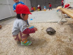 4��17���@�����@���쁕�ˊO�V��_56