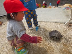 4��17���@�����@���쁕�ˊO�V��_57