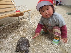 4��17���@�����@���쁕�ˊO�V��_58