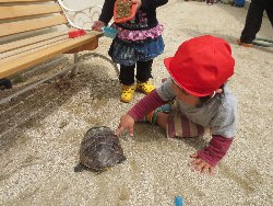 4��17���@�����@���쁕�ˊO�V��_59