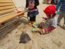 4��17���@�����@���쁕�ˊO�V��_60