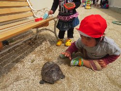 4��17���@�����@���쁕�ˊO�V��_61