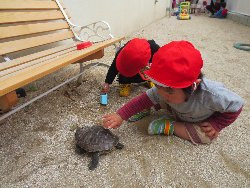 4��17���@�����@���쁕�ˊO�V��_62