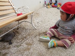 4��17���@�����@���쁕�ˊO�V��_63