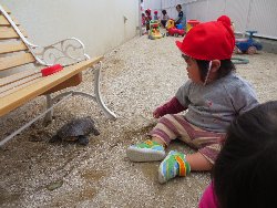 4��17���@�����@���쁕�ˊO�V��_64