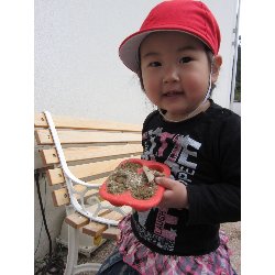 4��18���@������@���쁕�ˊO�V��_35