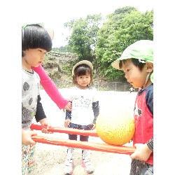 5��16���@�������E�ς񂾁@�������_19