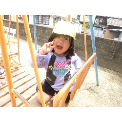 5��16���@�������E�ς񂾁@�������_29