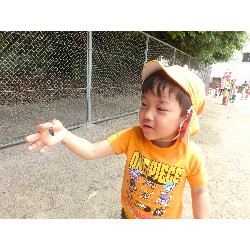 5��16���@�������E�ς񂾁@�������_45