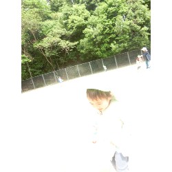 5��16���@�������E�ς񂾁@�������_59