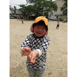 5��16���@�������E�ς񂾁@�������_73