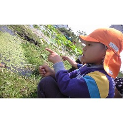 5��23���@�Ђ܂��P�e�@�@�c���w_9
