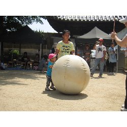 5��25���@�~�j�^����_294