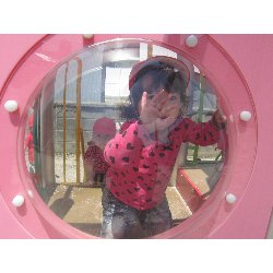 6��4���@������@���{���̓��@�����݂̐X_8