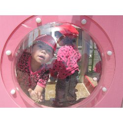 6��4���@������@���{���̓��@�����݂̐X_9