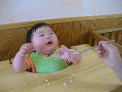 6��7���@�����@���{���̓�_33