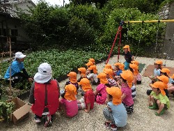 6��10���@���Ⴊ�����@��_1