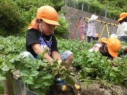 6��10���@���Ⴊ�����@��_3