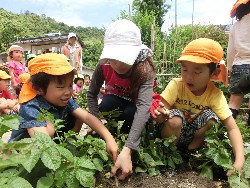 6��10���@���Ⴊ�����@��_4