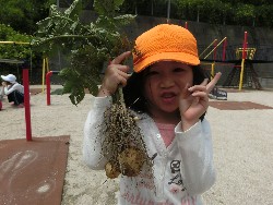 6��10���@���Ⴊ�����@��_5