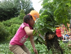 6��10���@���Ⴊ�����@��_6