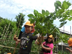 6��10���@���Ⴊ�����@��_7