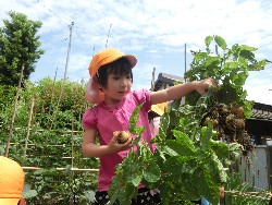 6��10���@���Ⴊ�����@��_10