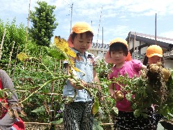 6��10���@���Ⴊ�����@��_11