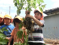 6��10���@���Ⴊ�����@��_12