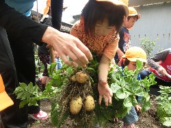 6��10���@���Ⴊ�����@��_13