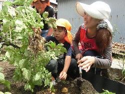 6��10���@���Ⴊ�����@��_14