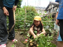 6��10���@���Ⴊ�����@��_15