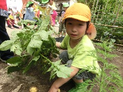 6��10���@���Ⴊ�����@��_16