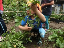 6��10���@���Ⴊ�����@��_17