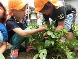 6��10���@���Ⴊ�����@��_18