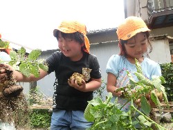 6��10���@���Ⴊ�����@��_19