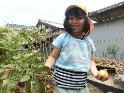 6��10���@���Ⴊ�����@��_20