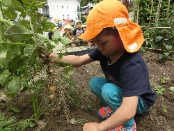 6��10���@���Ⴊ�����@��_21